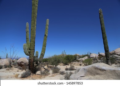 A Landscape In The Desert Near Baja California, Mexico