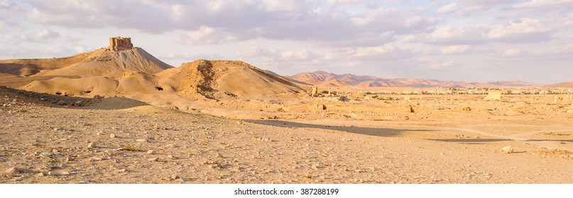 Landscape Of The Desert And Palmyra, Syria