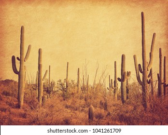 Landscape of the desert with Saguaro cacti. Photo in retro style. Added paper texture. Toned image