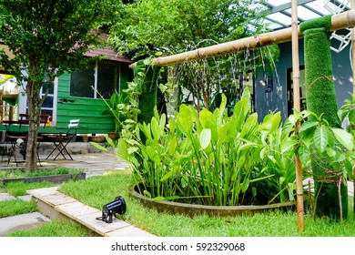 landscape design for backyard garden