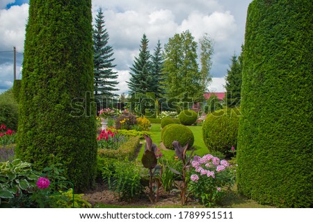 Landscape design of a garden plot: a hot summer day, plants at home in the sun, beautiful summer garden design