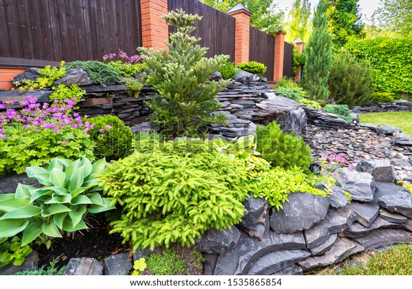 Landscape design in home garden close-up,\
beautiful landscaped garden with plants, bush, rocks and small\
fountain. Nice landscaping of residential house backyard in summer.\
Nature and stones\
theme.