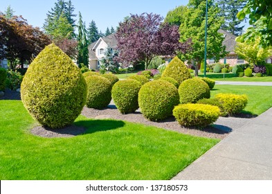 Landscape Design. Nicely Trimmed Bushes At The Front Yard