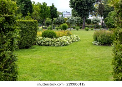 landscape design of park with garden bed and trees with leaves and green lawn, evergreen and seasonal plants in backyard with meadow space.