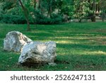 landscape design park square foreground shore grass lawn environment space with green foliage trees blurred background spring morning time