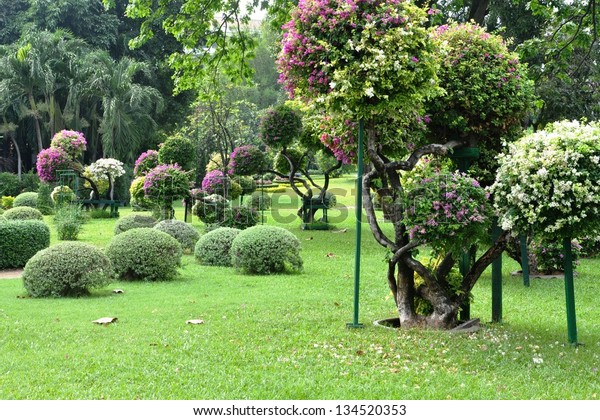 Landscape Design Round Shape Trees Cut Stock Photo 134520353 | Shutterstock