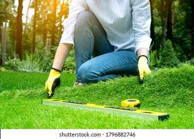 A landscape designer spreads a roll of artificial grass in a beautiful green garden