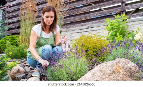 1,211 Rock garden with lavender Images, Stock Photos & Vectors ...