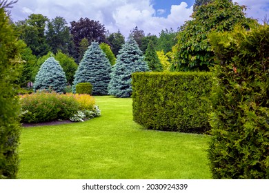 landscape desing of a park with a garden bed and trees with leaves and pine needles on a green lawn, evergreen and seasonal plants in the backyard.
