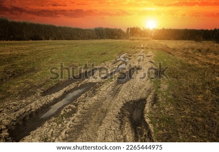 landscape with dirt road across spring meadow on sunset sky background. Take it in Ukraine