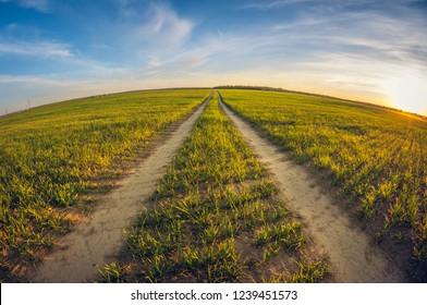 Landscape Dirt Road In A Sowing Field At Sunset Fish Eye Distortion