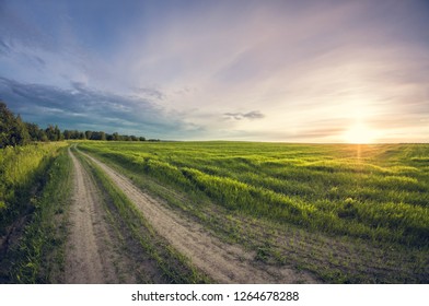 Landscape Dirt Road In A Sowing Field At Sunset