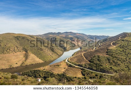 Landscape of the Douro river meandering through mountains, with the terraces of the port wine vineyards, near the mouth of the river Coa, in Vila Nova de Foz Coa, Portugal.