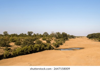 Landscape of the dry Shingwedi River bed wih giraffe moving slowly away