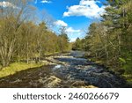 Landscape of the Eau Claire River flowing through a forest on a sunny Spring day near Wausau, Wisconsin.