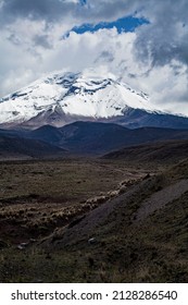 Landscape Of El Chimborazo, Ecuador, Andes, Andean Mountains Snow Peak