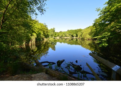 Landscape, Epping Forest