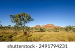 Landscape with Eucalyptus trees, termite mound in front of red rocks in the Bungle Bungle ranges (Purnululu), Western Australia