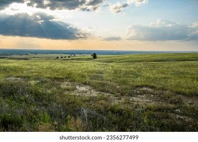 Landscape, evening, beautiful sky before sunset, steppe and ravines, trees on the horizon, bank of the Don River, Volgograd region, Russia.
 - Shutterstock ID 2356277499