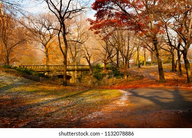 Landscape in the fall