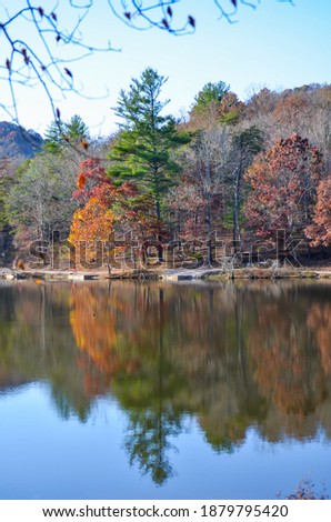 Landscape of the Fall Foilage