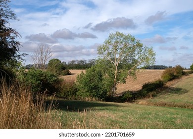 Landscape Of Farmland In The Countryside Near Wood Walton, Huntingdon, Cambridgeshire, England