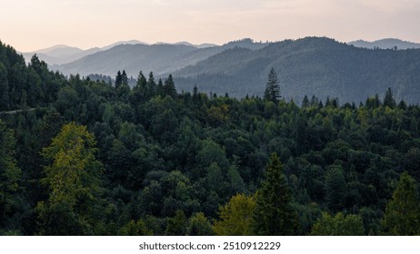 The landscape features rolling green hills adorned with dense evergreen forests. The layered relief creates a sense of depth, while the gentle hazy sky adds to the serenity of the scene. - Powered by Shutterstock