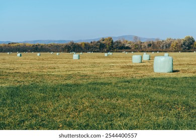 A landscape featuring a field with numerous hay bales wrapped in plastic, scattered across the grassy terrain. The background includes a tree line with autumn foliage and distant mountain. - Powered by Shutterstock