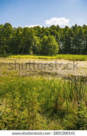 a landscape featuring a oxbow lake in the Bug River valley in Podlasie