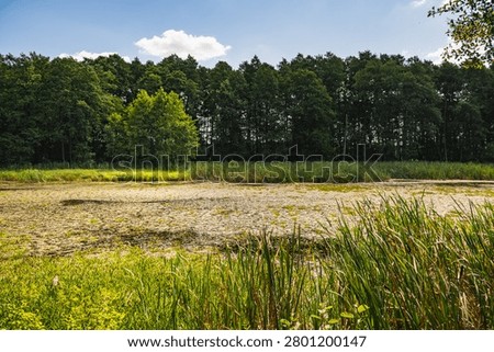 a landscape featuring a oxbow lake in the Bug River valley in Podlasie