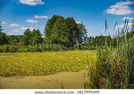 a landscape featuring a oxbow lake in the Bug River valley in Podlasie
