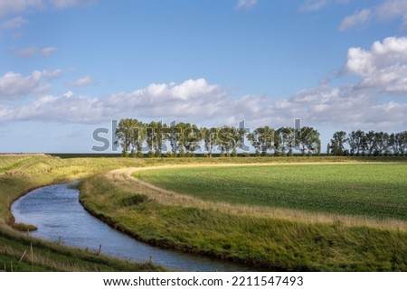 Landscape in the Fens, channel, field and trees on an autumn day, Lincolnshire, East Midlands, England