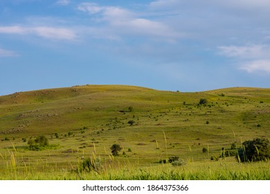 Landscape of the field with bushes and trees. Cloudy sky on the background. - Shutterstock ID 1864375366