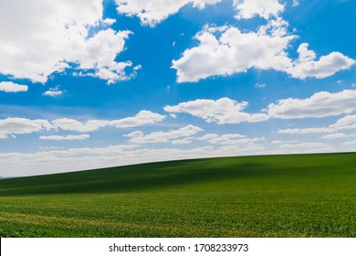 Landscape with field and clouds in the sky