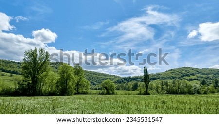 Landscape with field grass, trees and hills under a blu sky with some clouds