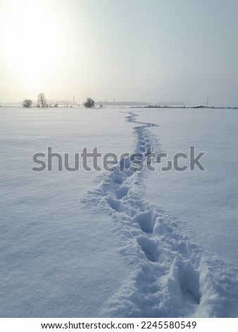 Landscape of fields covered with white snow and footprints of a person in far in very deep snow during a snowstorm with sun shining through snowy sky. Winter scenery