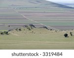 landscape with fields in spring
