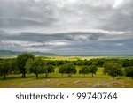 landscape with fields in spring and cloudy sky