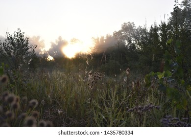 
landscape with the first rays of the sun through the fog