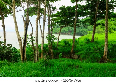 Landscape Of Folly Ruins In Jamaica It A Beautiful Piece Of History, Previously Owned By Salem, Connecticut, Visited Port Antonio With His Wife Annie Tiffany, Heiress To The Tiffany Fortune.