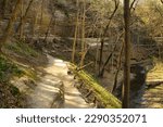 Landscape of a forest hiking trail on a day in late Spring passing between a small creek and high rock walls in LaSalle Canyon at Starved Rock State Park in Oglesby, IL.