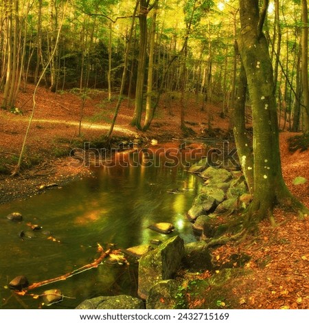 Landscape, forest and river in creek with trees, bush and environment in autumn with green plants. Woods, water and stream with growth, sustainability and ecology for swamp in Denmark with sunshine