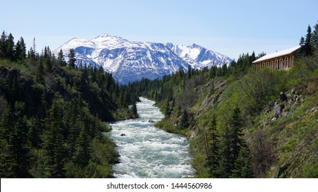
Landscape of forest, river and mountains in Yukon, Canada on the border with Alaska