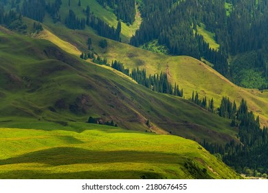6,561 Dark forest edge Images, Stock Photos & Vectors | Shutterstock