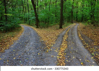 Landscape with fork rural roads in forest - Powered by Shutterstock