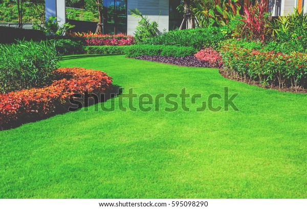 Landscape Formal Front Yard Beautifully Designed Stock Photo (Edit Now