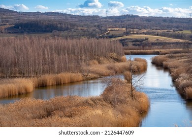 Landscape of former Radovesice coal strip mining dump in Czechia with ones left for ecological succession as a part of recultivation efforts. Includes small lakes, grass and young forest. - Shutterstock ID 2126447609