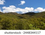 Landscape in the Franklin Gordon Wild Rivers National Park In the background Frenchmans Cap- Australia, Tasmania