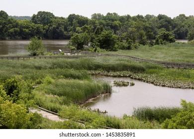 Landscape Of A Freshwater Marsh At The Russell W. Peterson Urban Wildlife Refuge In Wilmington, Delaware