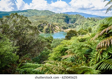 Landscape with Frying Pan Lake in Echo Crater and traditional fern trees in Waimangu volcanic valley in Rotorua, New Zealand